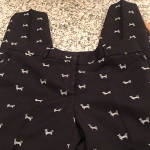 Loft “doggy” pants!